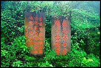 Stone tablets with Chinese scripture. Emei Shan, Sichuan, China ( color)