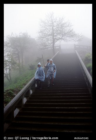 Pilgrims descend stairs beneah Xixiangchi temple in raingear. Emei Shan, Sichuan, China