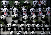 Stuffed pandas for sale. Chengdu, Sichuan, China (color)