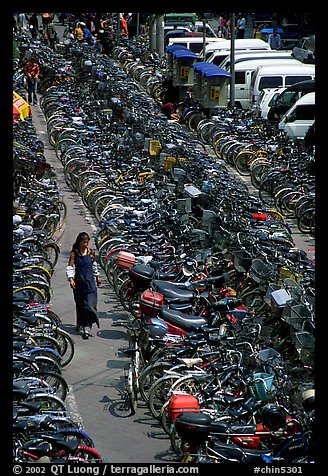 Woman walking in a bicycle parking lot. Chengdu, Sichuan, China (color)