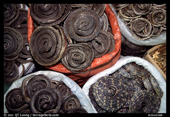 Coiled dried snakes for sale at the Qingping market. Guangzhou, Guangdong, China (color)