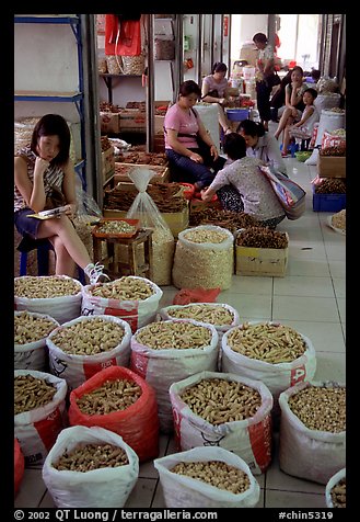 Woman selling dried food items inside the Qingping market. Guangzhou, Guangdong, China