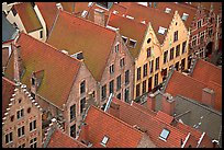 Rooftops. Bruges, Belgium (color)