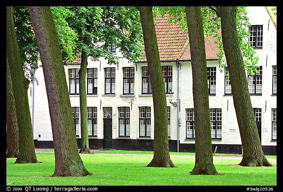 Grassy square in Beguinage (Begijnhof). Bruges, Belgium