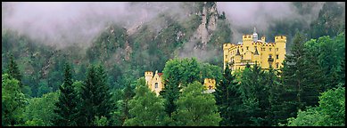 Hohenschwangau castle on forested hillside. Bavaria, Germany