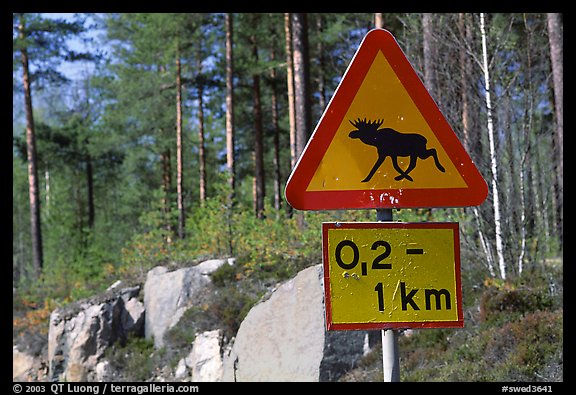 Moose crossing sign. Central Sweden (color)