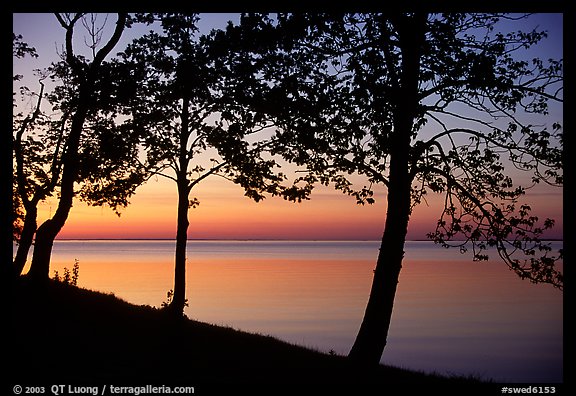 Trees and sunset on Vattern Lake, Vadstena. Gotaland, Sweden