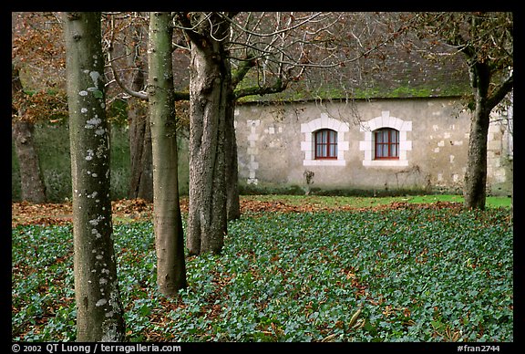 Estate of Chenonceaux chateau. Loire Valley, France (color)