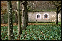Estate of Chenonceaux chateau. Loire Valley, France