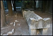 Sarcophagus, Alyscamps. Arles, Provence, France ( color)