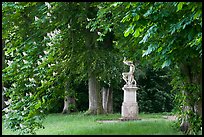 Sculpture, Horse chestnut trees (Aesculus hippocastanum), Chateau de Fontainebleau. France (color)