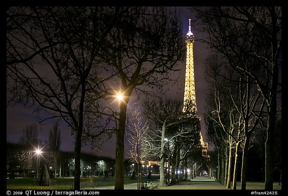 Trees in Champs de Mars and Eiffel Tower at night. Paris, France