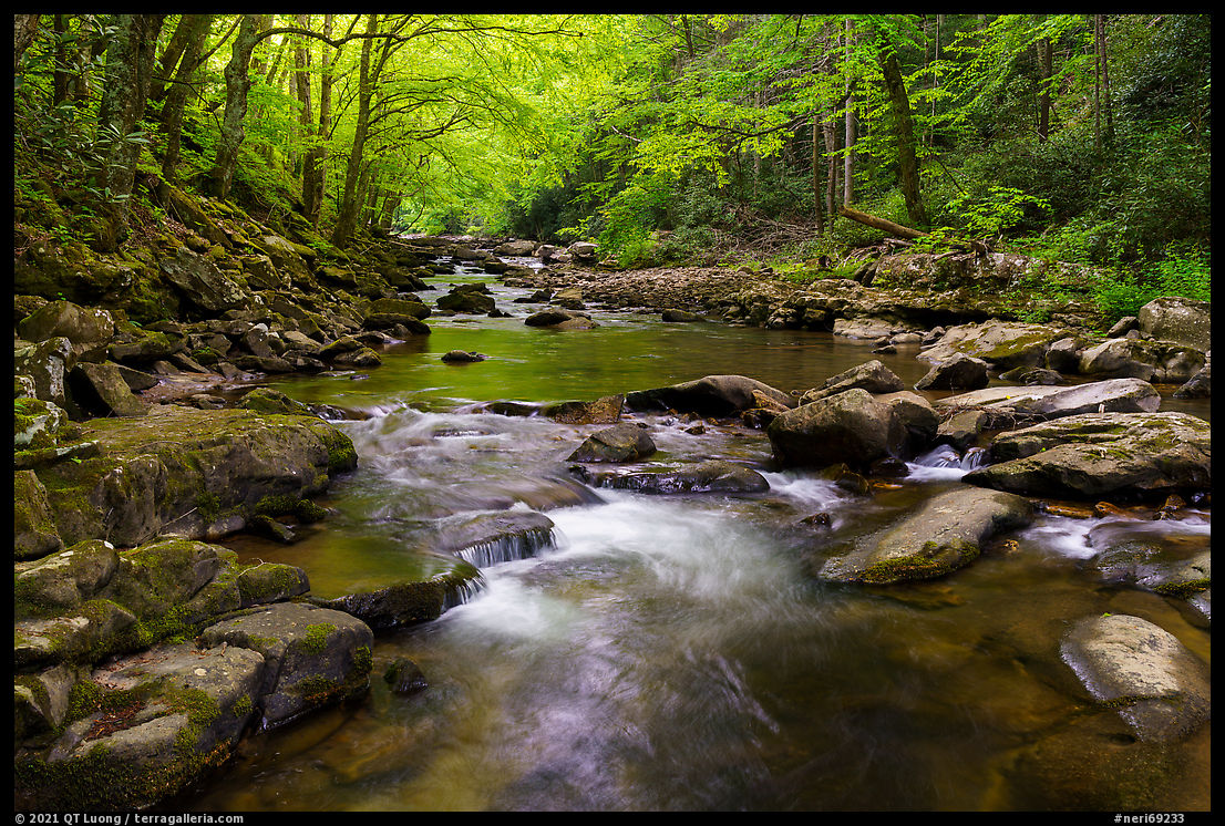 new river gorge national park