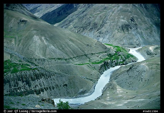 Zanskar River valley with cultivation patches, Zanskar, Jammu and Kashmir. India (color)