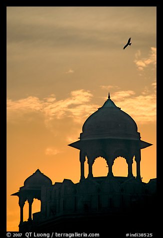 Bird and wall pavilions of Red fort, sunrise. New Delhi, India