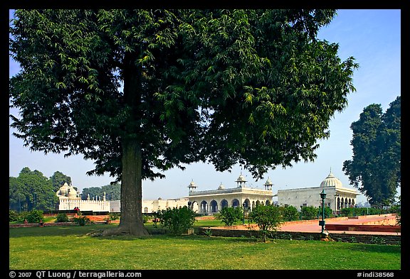 Courtyard garden with  Diwan-i-Khas, Hammans, Moti Masjid. New Delhi, India