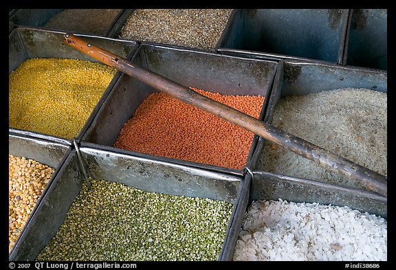 Close-up of grains, Sardar Market. Jodhpur, Rajasthan, India