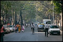 Tree-lined street, Colaba. Mumbai, Maharashtra, India ( color)
