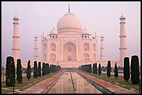 Taj Mahal reflected in watercourse,  sunrise. Agra, Uttar Pradesh, India