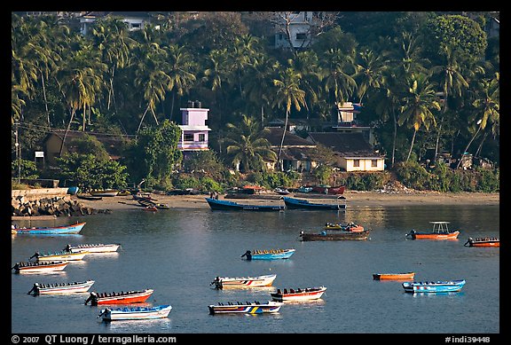 Boats, and palm-tree covered hillside, Dona Paula. Goa, India