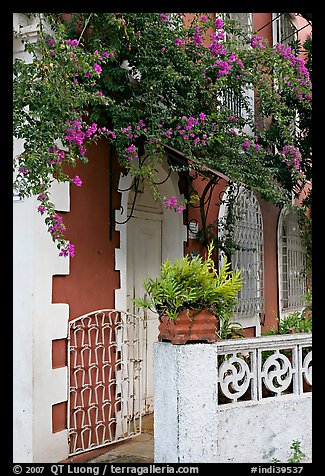 House facade with flowers, Panaji. Goa, India