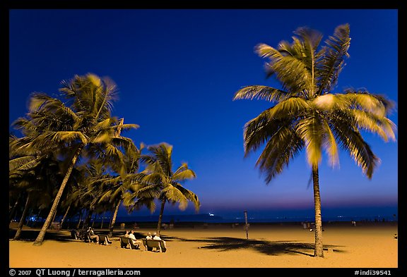 People sitting on bench below palm trees at twilight, Miramar Beach. Goa, India (color)