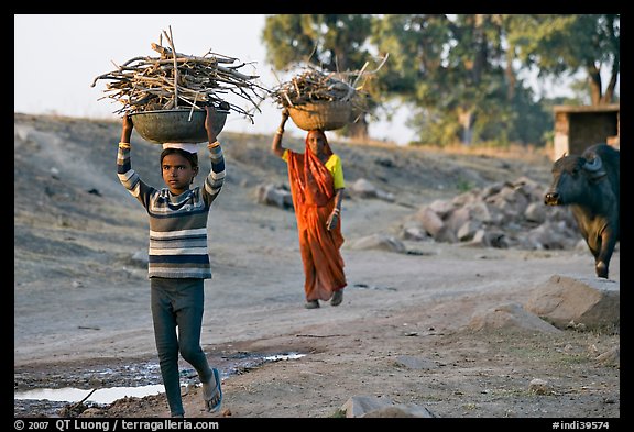 Villagers gathering wood. Khajuraho, Madhya Pradesh, India (color)