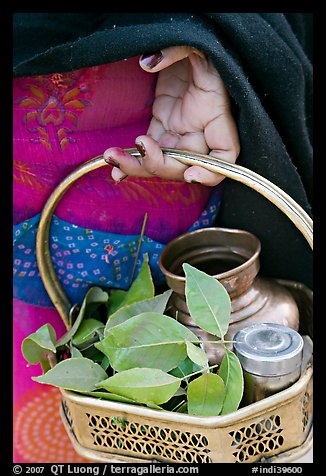 Basket with temple ritual offerings. Khajuraho, Madhya Pradesh, India (color)