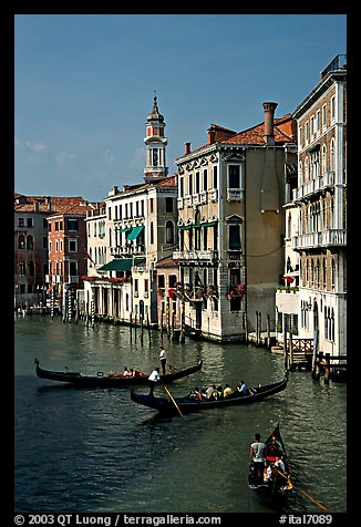 Grand Canal seen from the Rialto Bridge. Venice, Veneto, Italy
