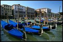 Row of gondolas covered with blue tarps, the Grand Canal. Venice, Veneto, Italy ( color)