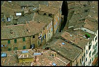 Rooftops seen from Torre del Mangia. Siena, Tuscany, Italy ( color)