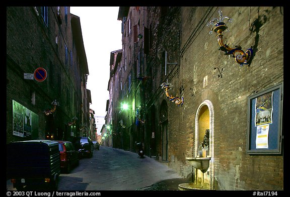 Street and fountain at dawn. Siena, Tuscany, Italy (color)
