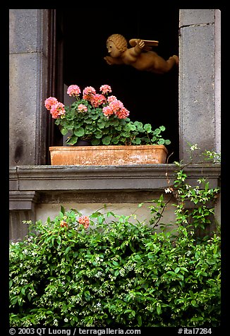 Window with flowers. Orvieto, Umbria