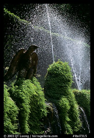 Fountains in the garden of Villa d'Este. Tivoli, Lazio, Italy (color)