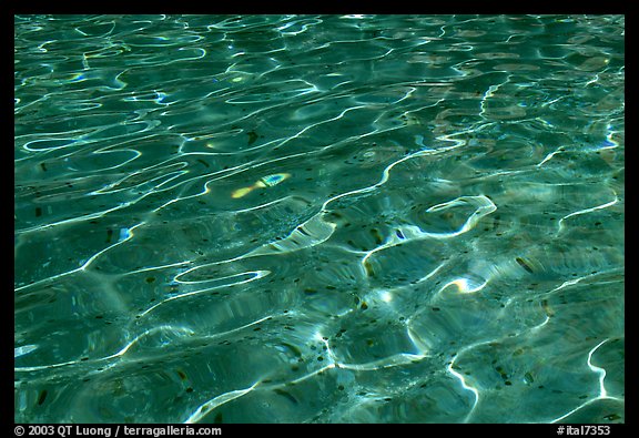 Water reflections, and coins lying in the Trevi Fountain. Rome, Lazio, Italy