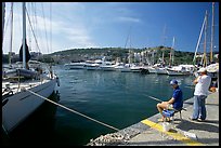 Fishing in the yacht harbor, Agropoli. Campania, Italy (color)