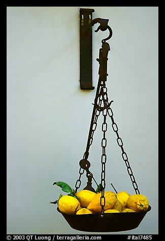 Basket of lemons, the local produce. Amalfi Coast, Campania, Italy