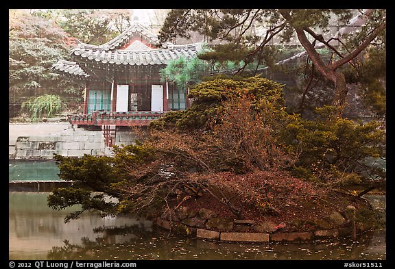 Buyongji, pond, trees, and canvas, Changdeok Palace. Seoul, South Korea (color)