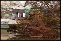 Buyongji, pond, trees, and canvas, Changdeok Palace. Seoul, South Korea (color)