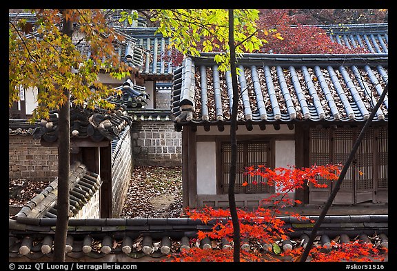 Fall foliage and historic architecture, Yeongyeong-dang, Changdeokgung Palace. Seoul, South Korea