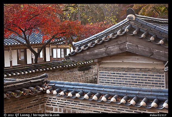 Wall and rooftop details, Yeongyeong-dang, Changdeok Palace. Seoul, South Korea (color)