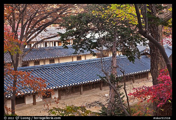 Fall foliage and tile rooftops, Yeongyeong-dang, Changdeokgung Palace. Seoul, South Korea