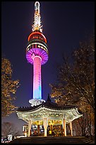 N Seoul Tower at night. Seoul, South Korea ( color)