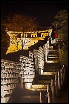 Steep section of wall at night, Namchi, Suwon Hwaseong Fortress. South Korea (color)