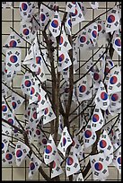 Sappling decorated with Korean flags. Seoul, South Korea ( color)