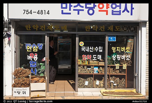 Roots in traditional medicine storefront. Daegu, South Korea