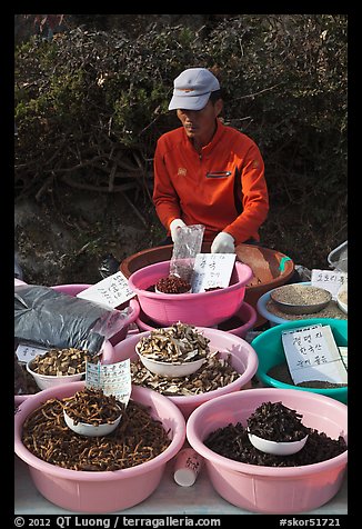 Man selling natural ingredients. South Korea