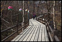 Elevated boardwalk near Haeinsa. South Korea ( color)