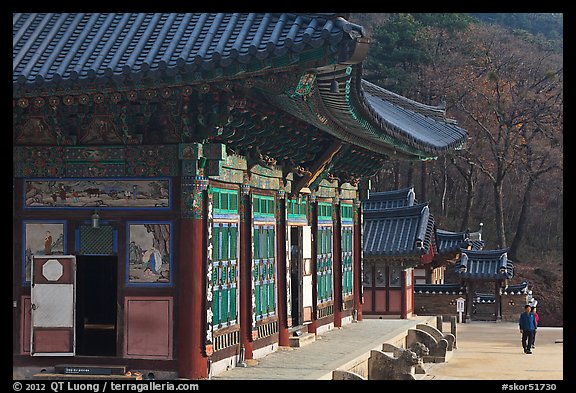 Haeinsa, temple of Jogye Order of Korean Buddhism. South Korea (color)