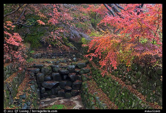 Landscaped creek in autumn, Bulguksa. Gyeongju, South Korea (color)